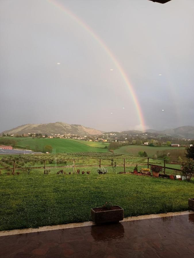 Il Faggio 17 B&B Artena Bagian luar foto
