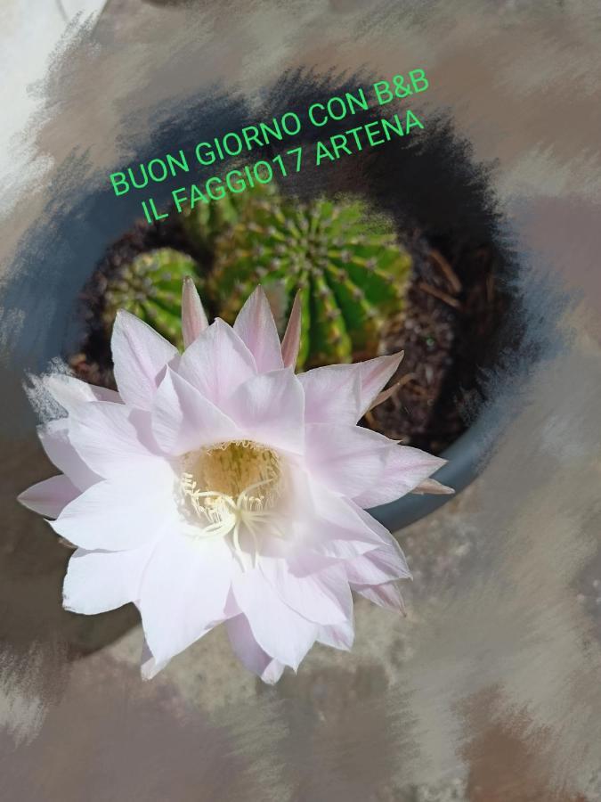 Il Faggio 17 B&B Artena Bagian luar foto