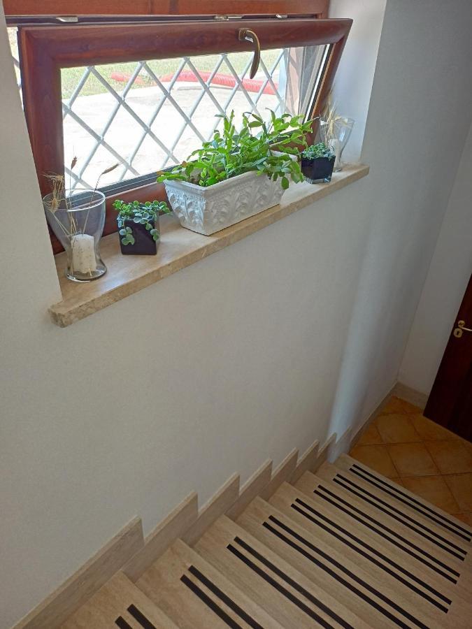 Il Faggio 17 B&B Artena Bagian luar foto