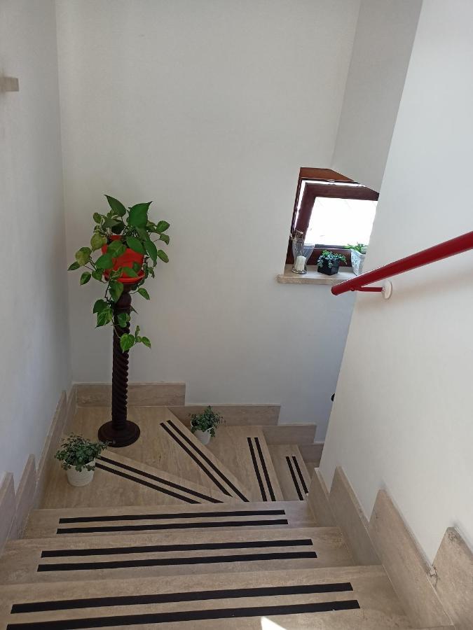 Il Faggio 17 B&B Artena Bagian luar foto