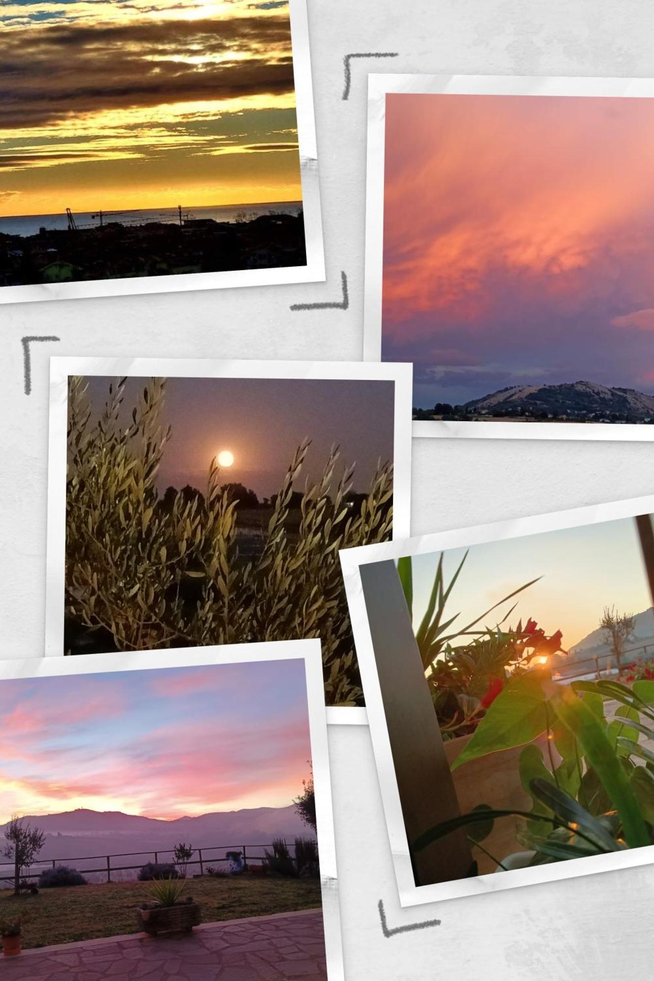 Il Faggio 17 B&B Artena Bagian luar foto