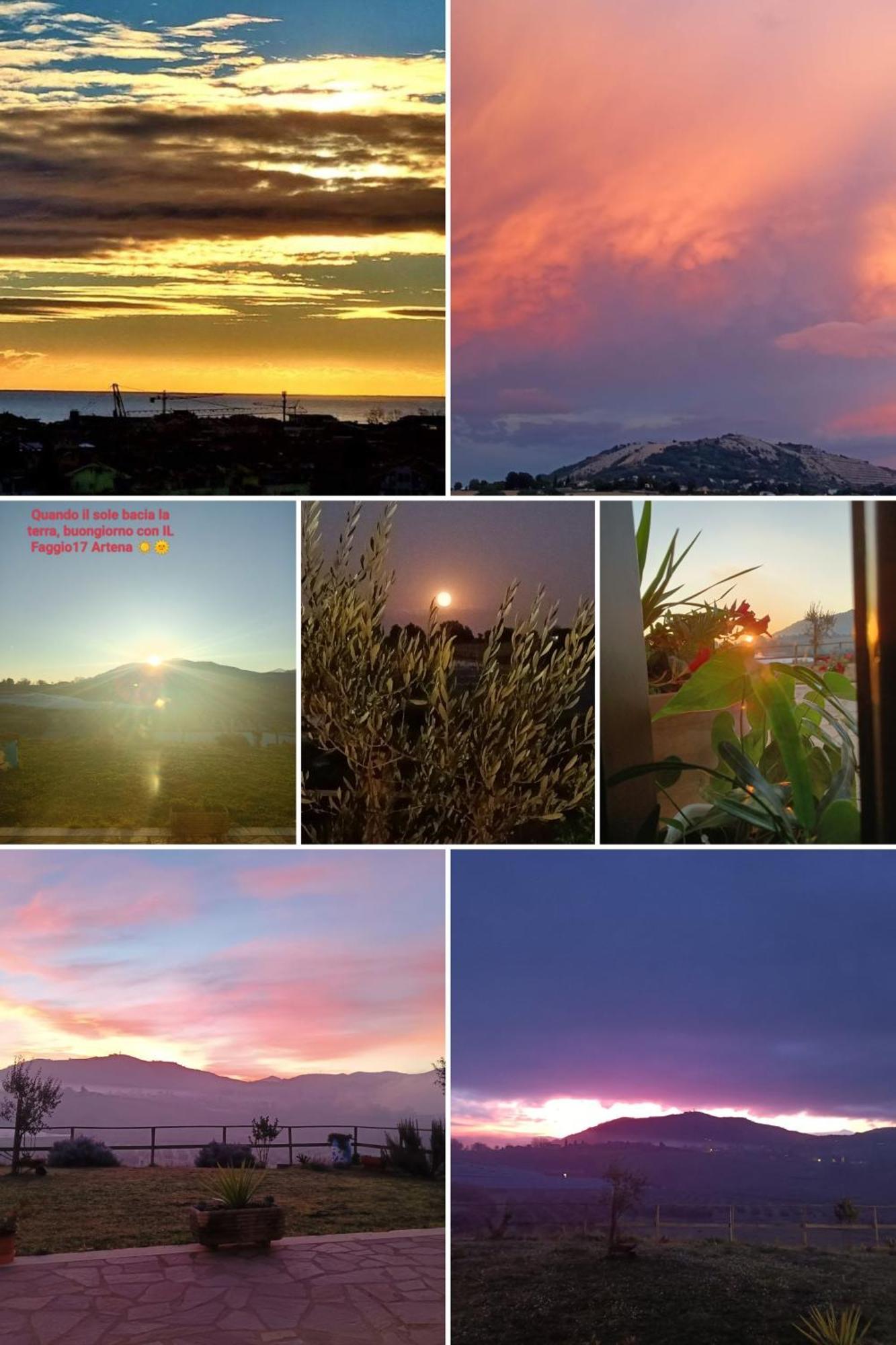 Il Faggio 17 B&B Artena Bagian luar foto