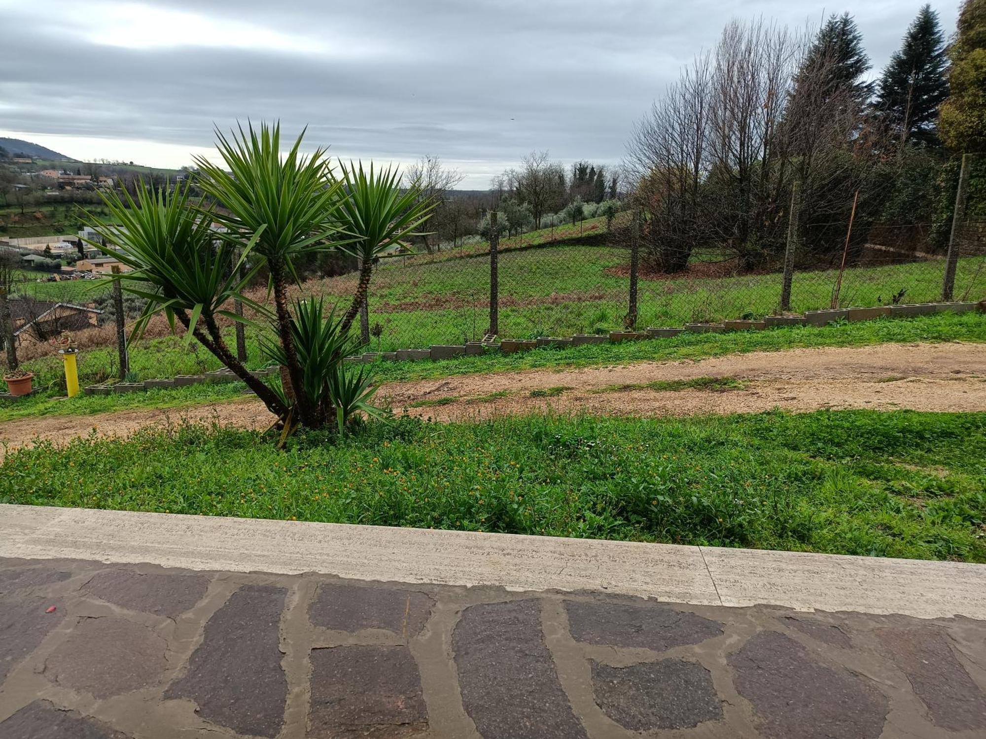 Il Faggio 17 B&B Artena Bagian luar foto