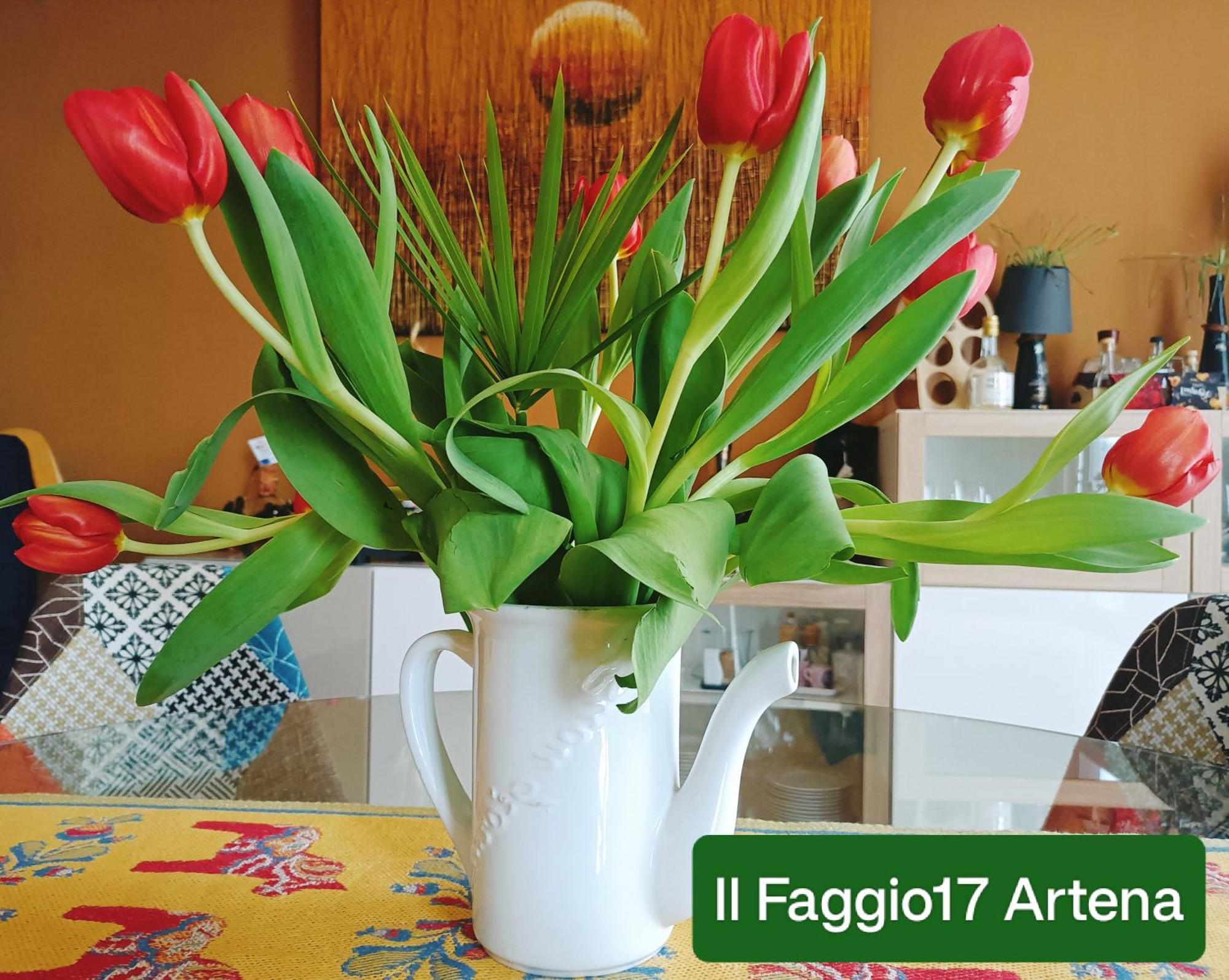 Il Faggio 17 B&B Artena Bagian luar foto
