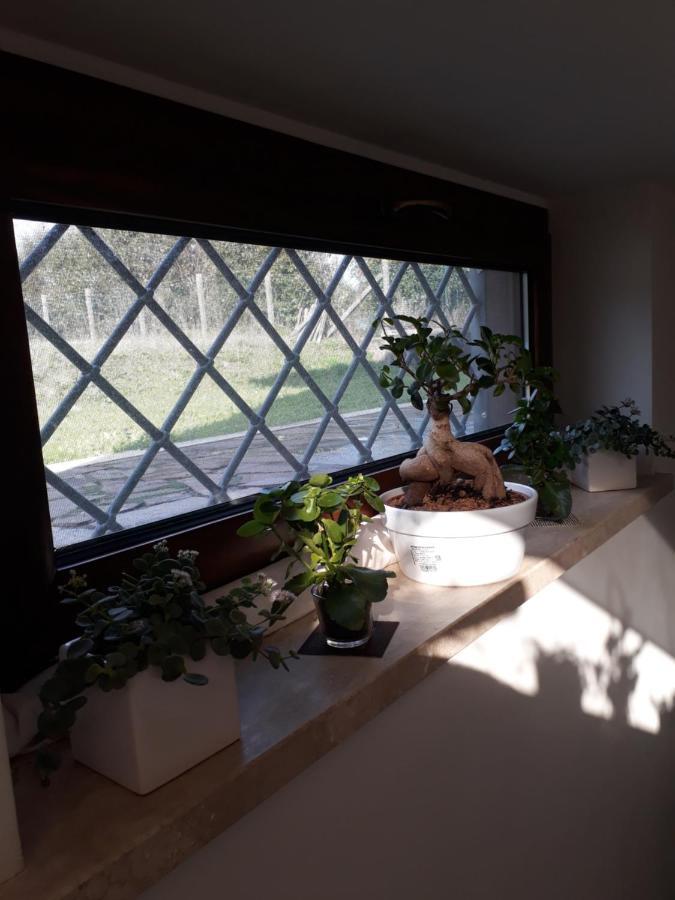Il Faggio 17 B&B Artena Bagian luar foto